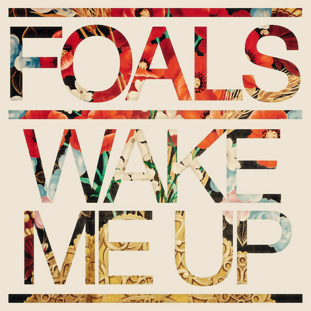 Foals - Wake Me Up - Tekst piosenki, lyrics - teksciki.pl