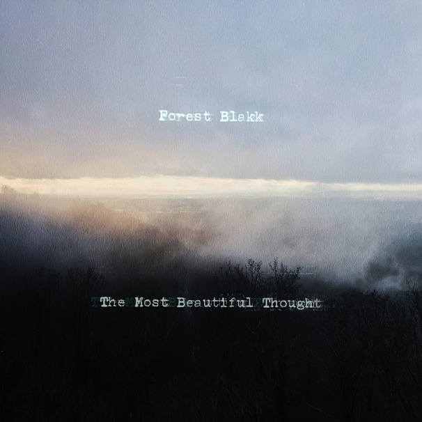 Forest Blakk - The Most Beautiful Thought - Tekst piosenki, lyrics - teksciki.pl