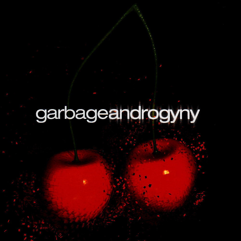 Garbage - Androgyny - Tekst piosenki, lyrics - teksciki.pl