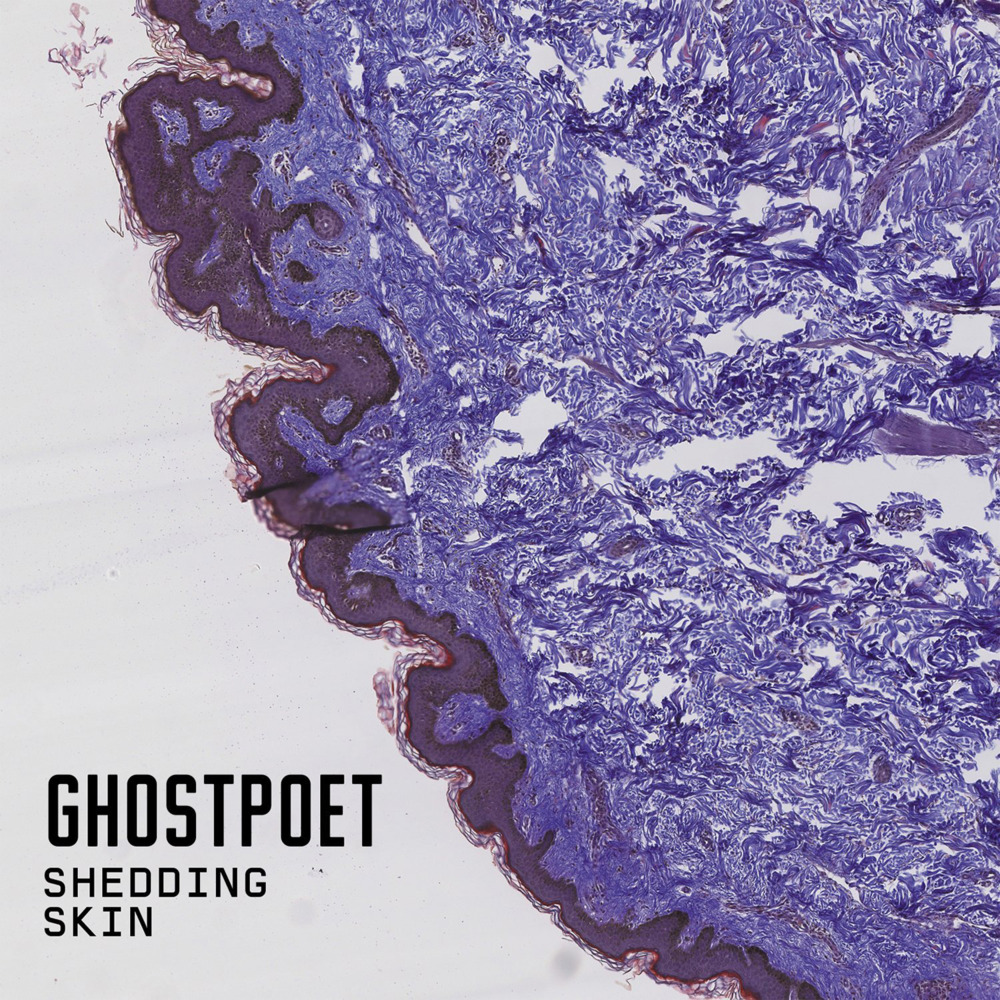 Ghostpoet - Shedding Skin - Tekst piosenki, lyrics - teksciki.pl