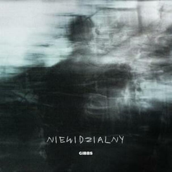 Gibbs - NIEWIDZIALNY - Tekst piosenki, lyrics - teksciki.pl
