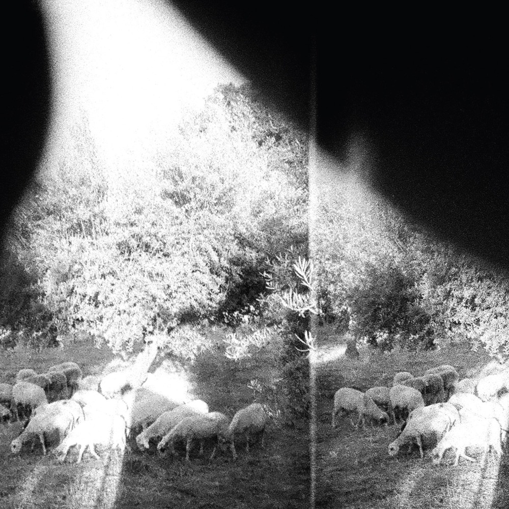 Godspeed You! Black Emperor - Lambs' Breath - Tekst piosenki, lyrics - teksciki.pl