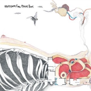 Handsome Furs - Dumb Animals - Tekst piosenki, lyrics - teksciki.pl