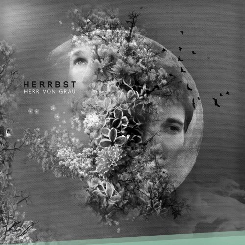 Herr von Grau - Cola - Tekst piosenki, lyrics - teksciki.pl