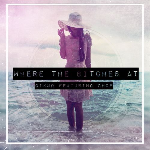Heyitsgizmo - Where The Bitches At - Tekst piosenki, lyrics - teksciki.pl