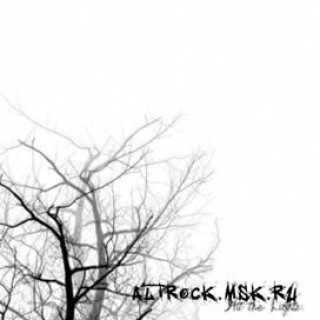 Hit The Lights - All Or Nothing - Tekst piosenki, lyrics - teksciki.pl