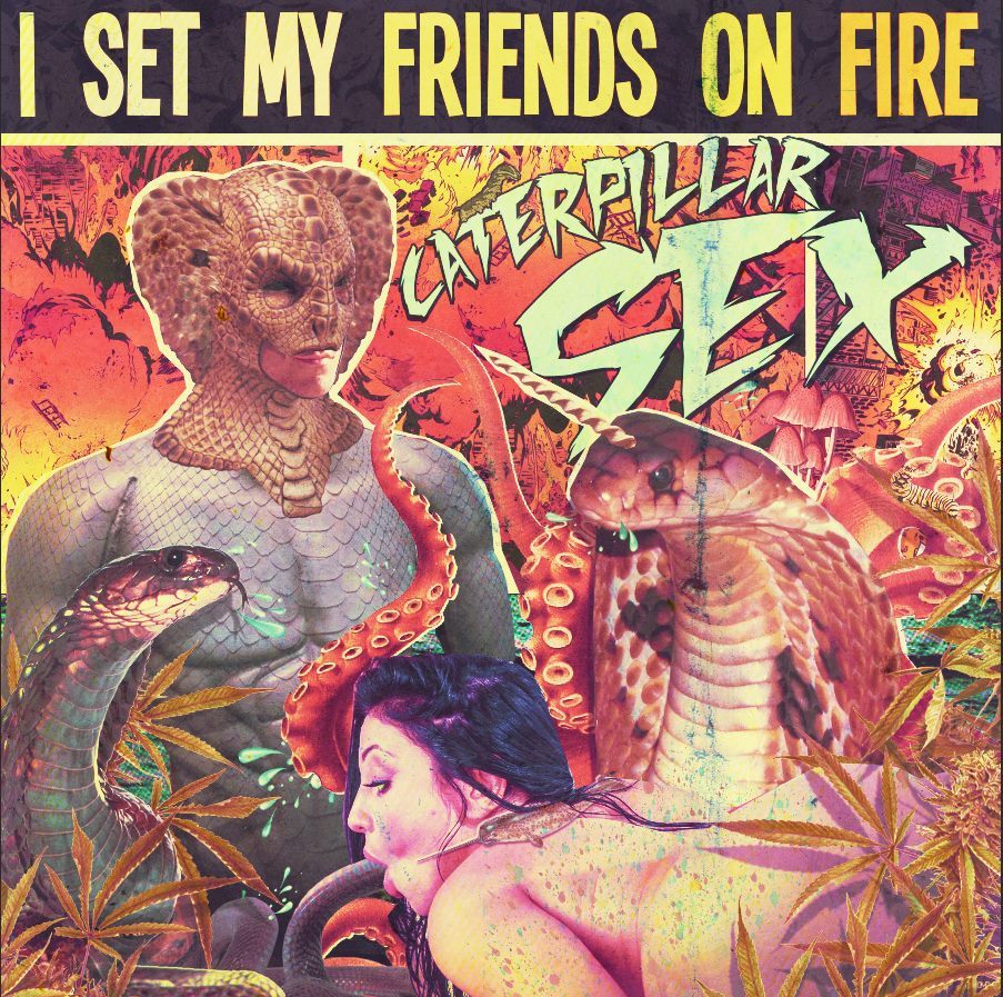 I Set My Friends On Fire - Nobody Wants To Be Parrot Man - Tekst piosenki, lyrics - teksciki.pl