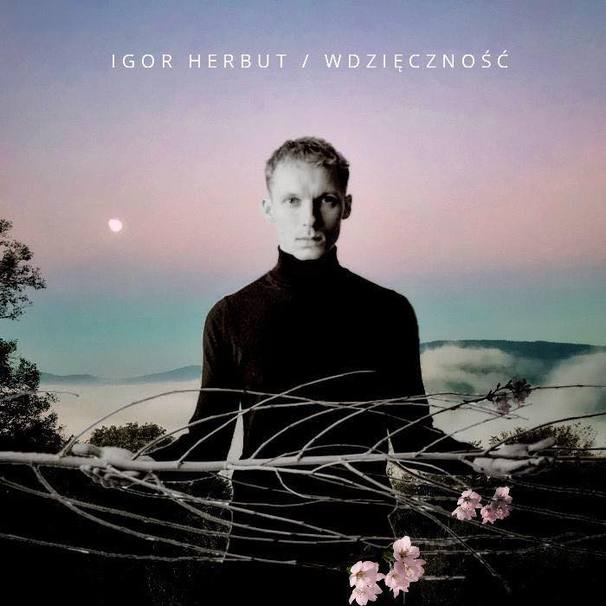 Igor Herbut - WDZIĘCZNOŚĆ - Tekst piosenki, lyrics - teksciki.pl