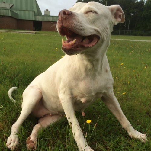 ILoveMakonnen - Live For Real - Tekst piosenki, lyrics - teksciki.pl