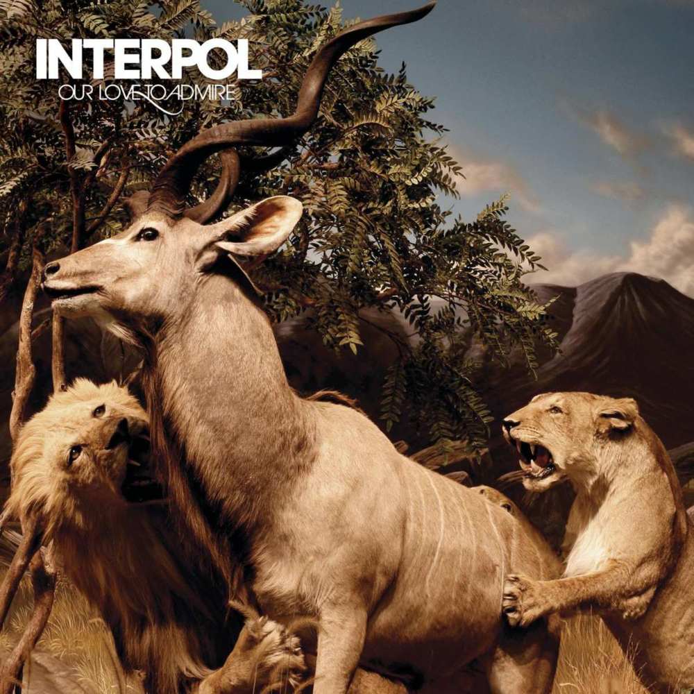 Interpol - All Fired Up - Tekst piosenki, lyrics - teksciki.pl