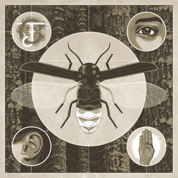Jerry Cantrell - Prism of Doubt - Tekst piosenki, lyrics - teksciki.pl
