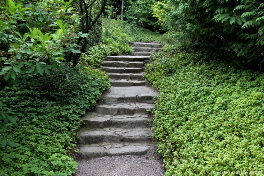 Jintanino - Wang hat überlebt (Teil 1) - Tekst piosenki, lyrics - teksciki.pl