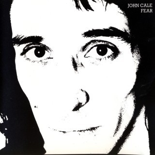 John Cale - Ship of Fools - Tekst piosenki, lyrics - teksciki.pl