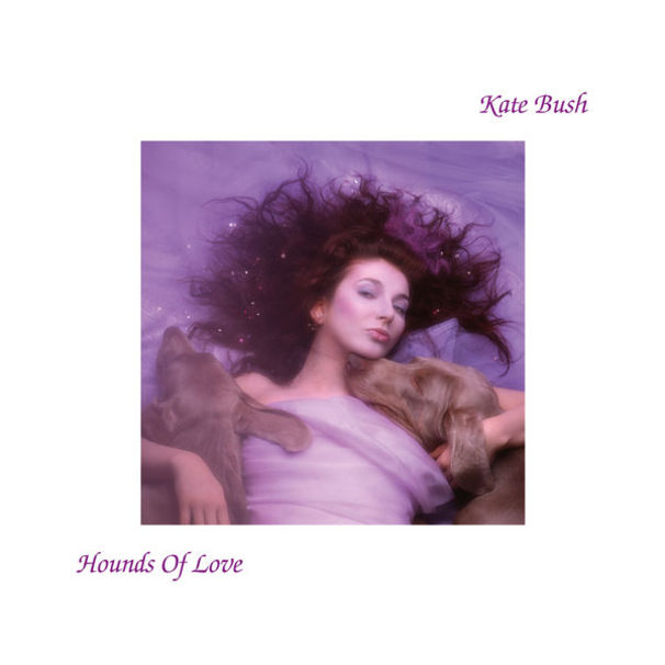 Kate Bush - And Dream of Sheep - Tekst piosenki, lyrics - teksciki.pl