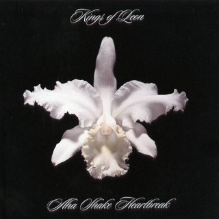 Kings Of Leon - Four Kicks - Tekst piosenki, lyrics - teksciki.pl