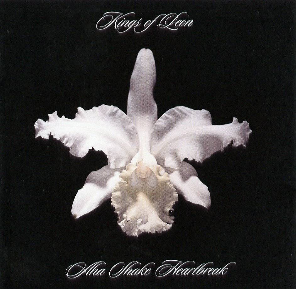 Kings Of Leon - Milk - Tekst piosenki, lyrics - teksciki.pl