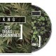 KNG - Sex, Drugs & Chickenwings - Tekst piosenki, lyrics - teksciki.pl