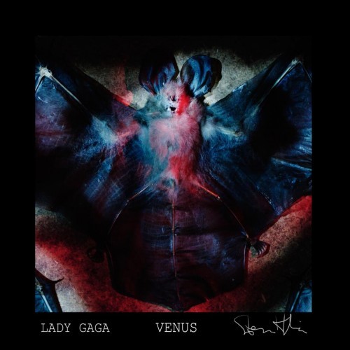 Lady Gaga - Venus - Tekst piosenki, lyrics - teksciki.pl