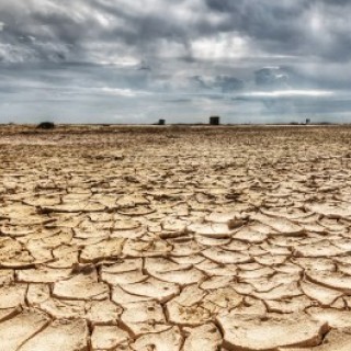 Larry June - It's A Drought - Tekst piosenki, lyrics - teksciki.pl