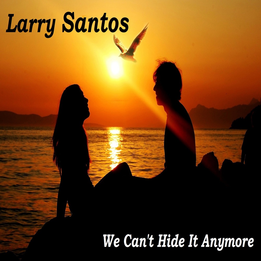 Larry Santos - We Can't Hide - Tekst piosenki, lyrics - teksciki.pl