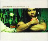 Lenny Kravitz - If You Can't Say No - Tekst piosenki, lyrics - teksciki.pl