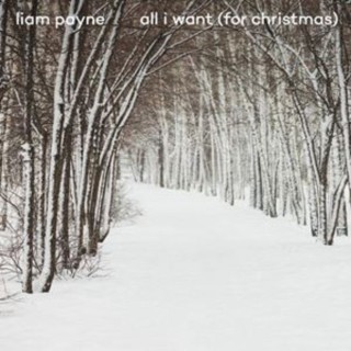 Liam Payne - All I Want (For Christmas) - Tekst piosenki, lyrics - teksciki.pl