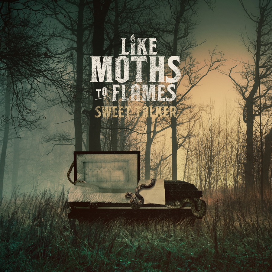 Like Moths to Flames - Dead Routine - Tekst piosenki, lyrics - teksciki.pl