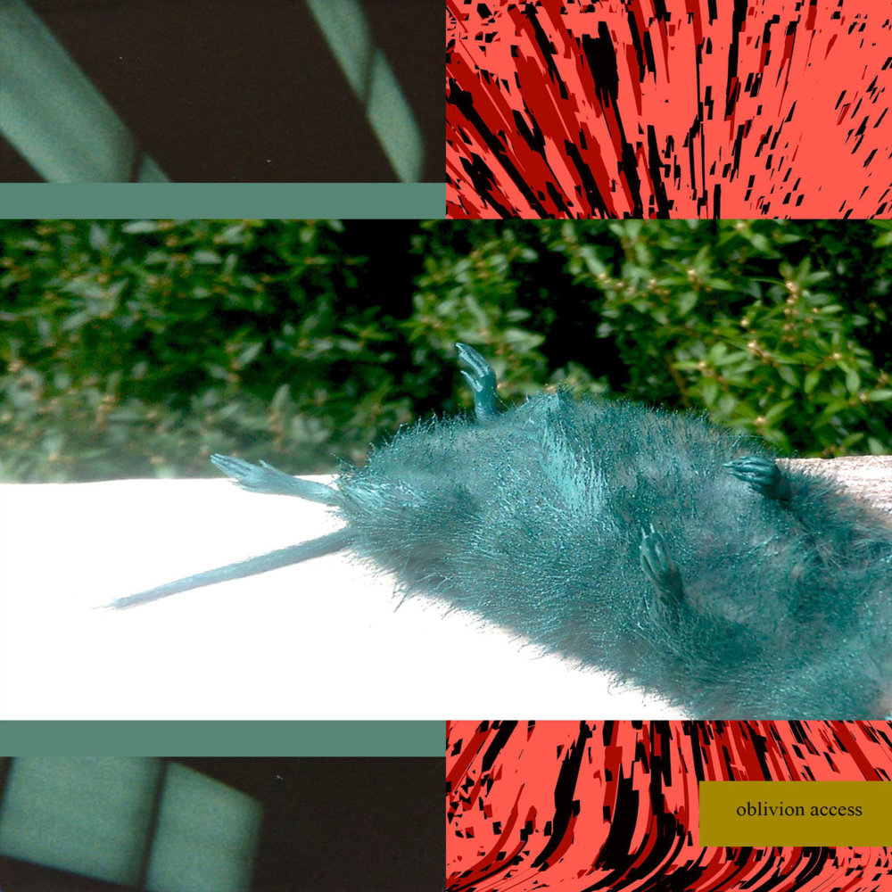 Lil Ugly Mane - Opposite Lanes - Tekst piosenki, lyrics - teksciki.pl