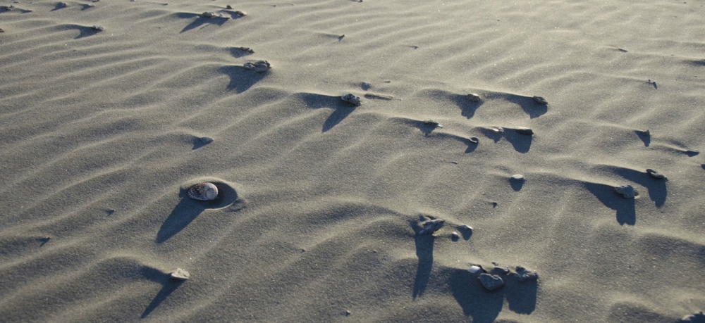 Lomepal - Coquillages - Tekst piosenki, lyrics - teksciki.pl