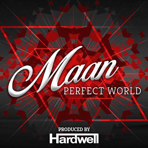 Maan - Perfect World - Tekst piosenki, lyrics - teksciki.pl