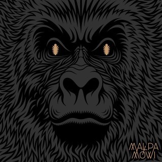 Małpa - Css - Tekst piosenki, lyrics - teksciki.pl
