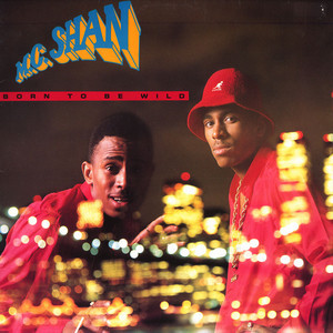 MC Shan - They Used To Do It Out in the Park - Tekst piosenki, lyrics - teksciki.pl
