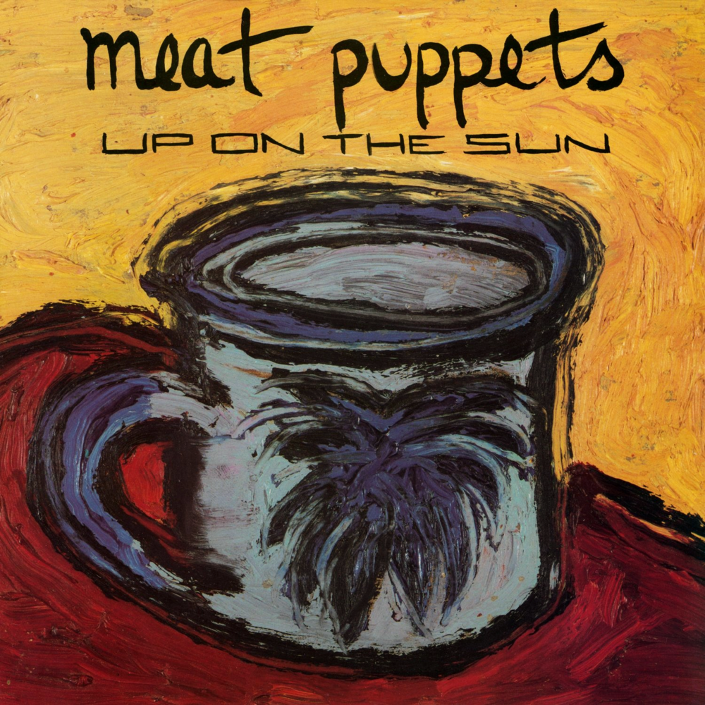 Meat Puppets - Animal Kingdom - Tekst piosenki, lyrics - teksciki.pl