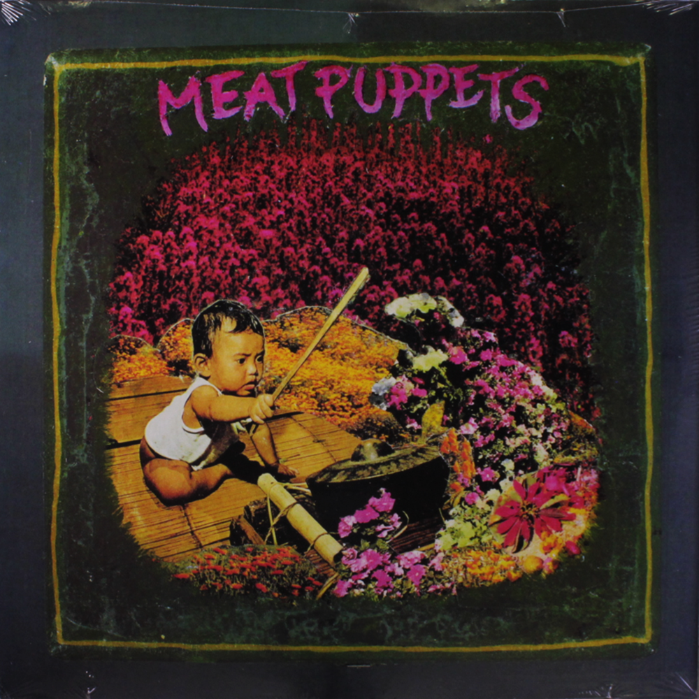 Meat Puppets - Litter Box - Tekst piosenki, lyrics - teksciki.pl