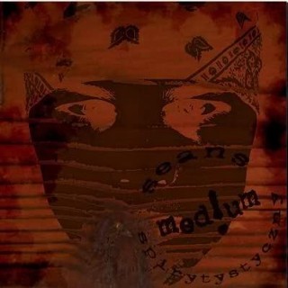 Medium - Któregoś Dnia - Tekst piosenki, lyrics - teksciki.pl