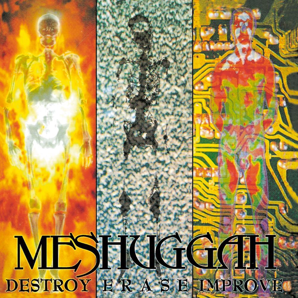 Meshuggah - Suffer In Truth - Tekst piosenki, lyrics - teksciki.pl