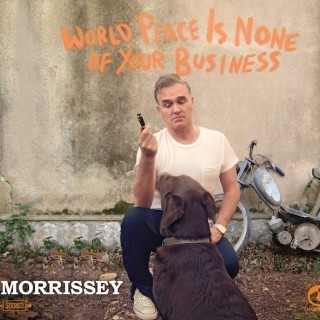 Morrissey - I'm Not a Man - Tekst piosenki, lyrics - teksciki.pl