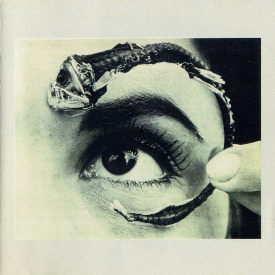 Mr. Bungle - After School Special - Tekst piosenki, lyrics - teksciki.pl