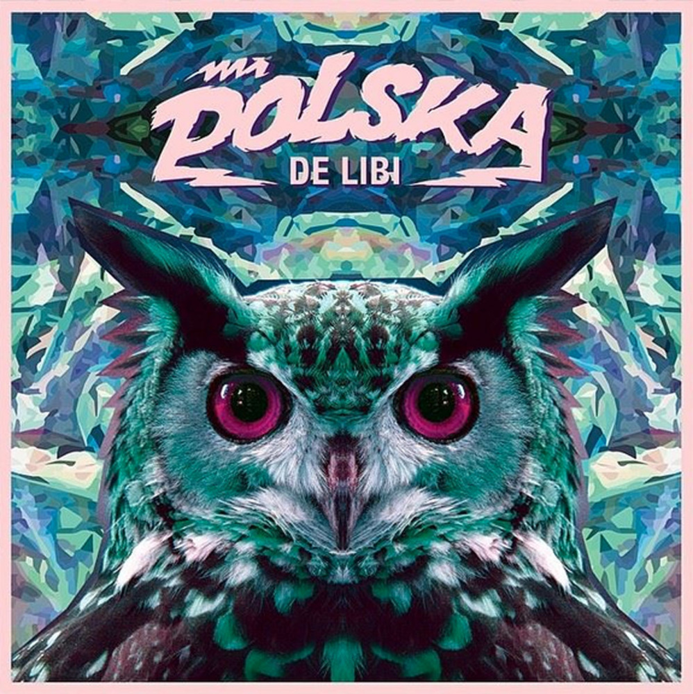 Mr. Polska - De Libi - Tekst piosenki, lyrics - teksciki.pl
