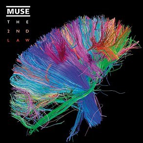 Muse - Madness - Tekst piosenki, lyrics - teksciki.pl