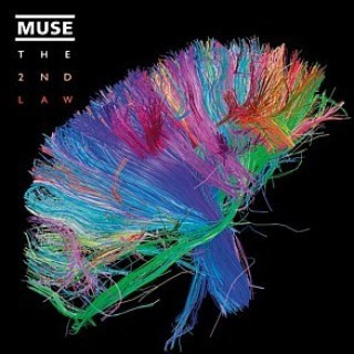 Muse - Survival - Tekst piosenki, lyrics - teksciki.pl