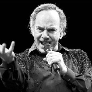 Neil Diamond - He Ain't Heavy... He's My Brother - Tekst piosenki, lyrics - teksciki.pl
