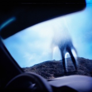 Nine Inch Nails - Capital G - Tekst piosenki, lyrics - teksciki.pl