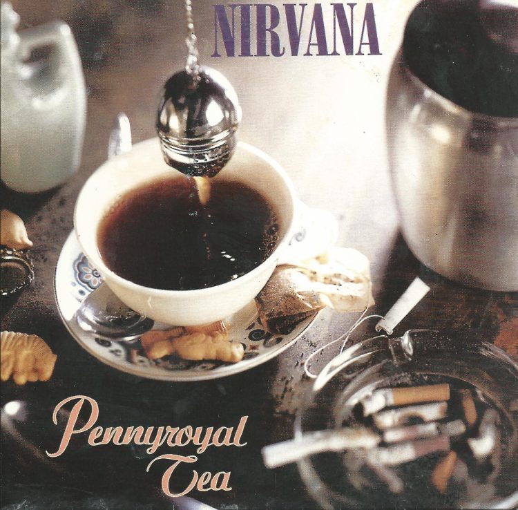 Nirvana - Pennyroyal Tea - Tekst piosenki, lyrics - teksciki.pl