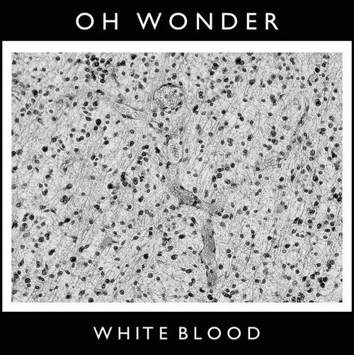 Oh Wonder - White Blood - Tekst piosenki, lyrics - teksciki.pl