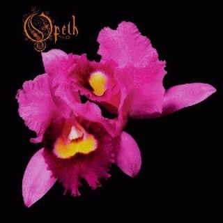 Opeth - The Apostle In Triumph - Tekst piosenki, lyrics - teksciki.pl