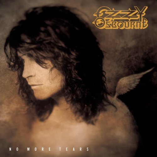 Ozzy Osbourne - Desire - Tekst piosenki, lyrics - teksciki.pl