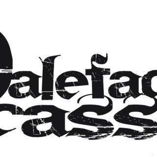 Paleface Picasso - Your Favorite Whiteboy - Tekst piosenki, lyrics - teksciki.pl