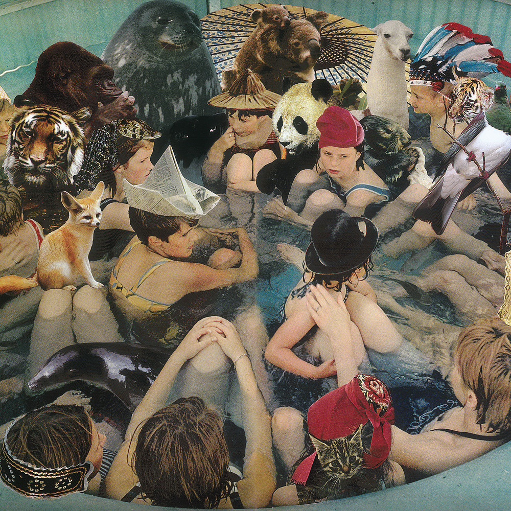 Panda Bear - Ponytail - Tekst piosenki, lyrics - teksciki.pl