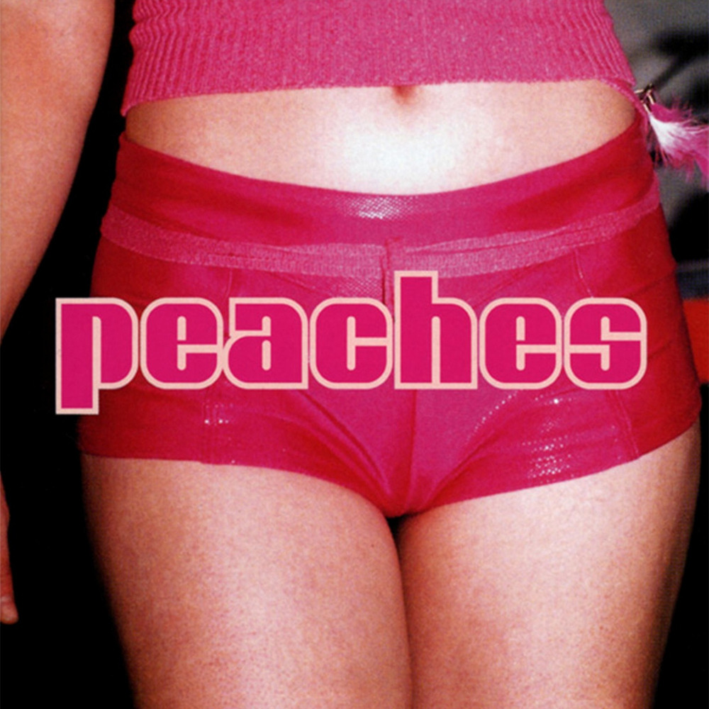 Peaches - Fuck the Pain Away - Tekst piosenki, lyrics - teksciki.pl